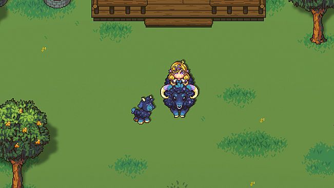 Sun Haven: Celestial Pack