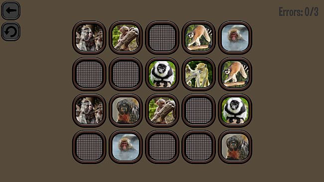 Animals Memory: Monkeys