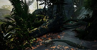 Kito: Lost Trail
