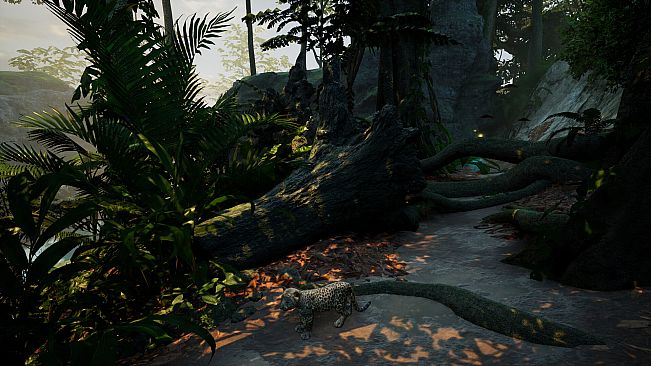 Kito: Lost Trail