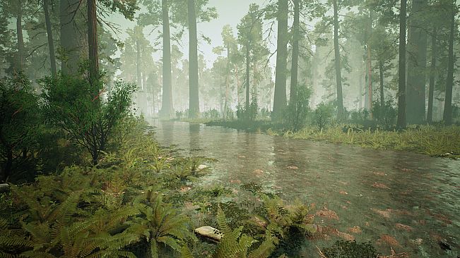 Death from Unknown: Survival