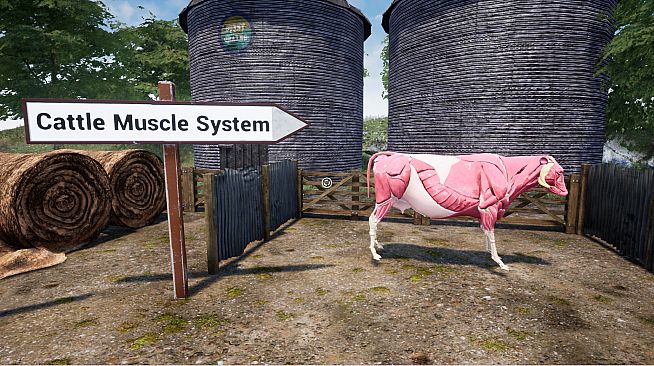 Cattle 101 -  Sample Library