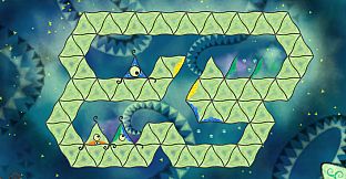 Volvox