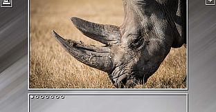 Super Jigsaw Puzzle: Generations - Random Animals Puzzles