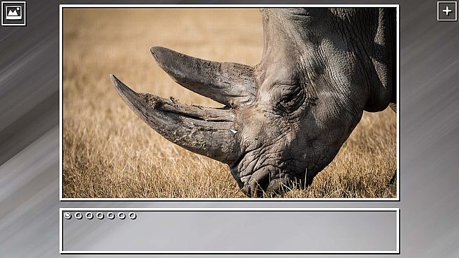 Super Jigsaw Puzzle: Generations - Random Animals Puzzles