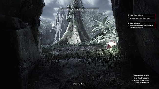 Wilderdark
