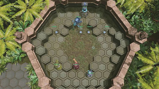 Hex Machina