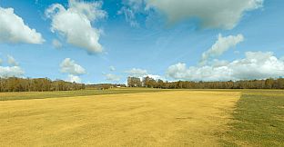 RealFlight Evolution - Triple Tree 3D Flight Line