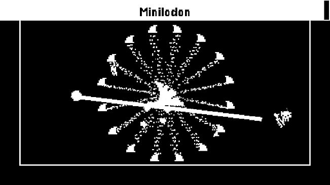 Skellies Ain't Scary