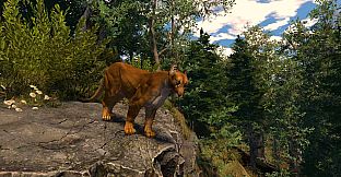 Capture The Wild