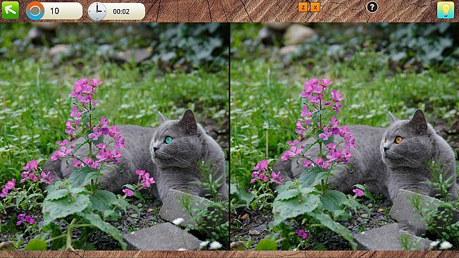 Peaceful Gardens 2: Cute Cats Collector's Edition