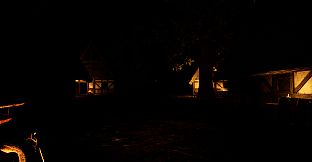 The Thief In The Dark