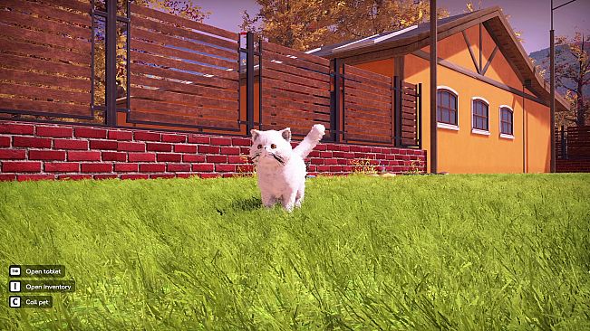 Animal Shelter 2 - Fluffy Cats Pack