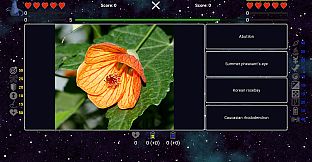 I've Seen Everything - Flowers