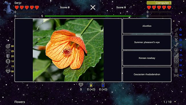I've Seen Everything - Flowers