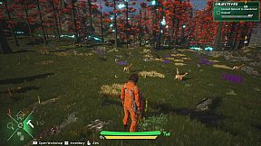 The Signal Playtesting