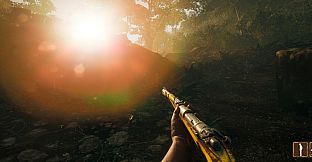 Their Land - Golden Rifle Skin