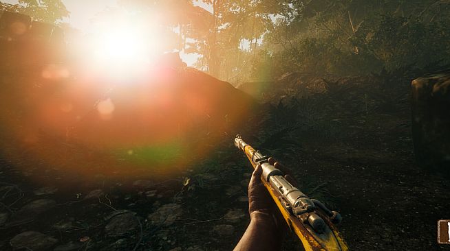 Their Land - Golden Rifle Skin