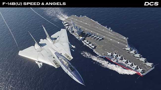 DCS: F-14B(U) Speed & Angels Campaign by Reflected Simulations