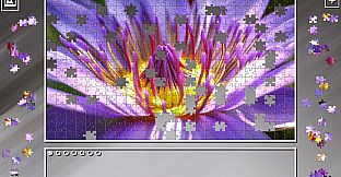 Super Jigsaw Puzzle: Generations - Flowers Puzzles