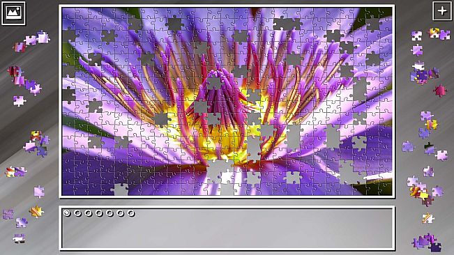 Super Jigsaw Puzzle: Generations - Flowers Puzzles