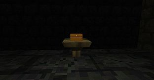 What the Healer Left Behind