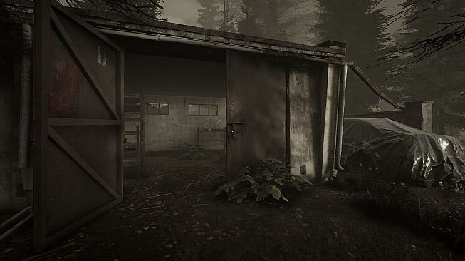 September Fall - Loneliness