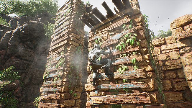 The Nightmare Catcher