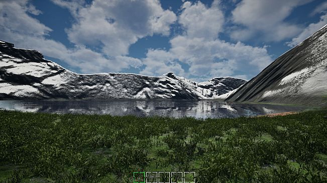 Mushroom Selection 2