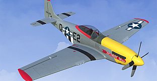 RealFlight Evolution - 2024 Year Content Pass