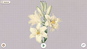 Plants Huddled Together