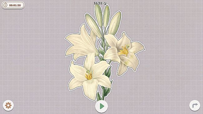 Plants Huddled Together