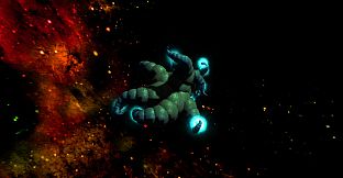 Anomalies - Sights and Sounds