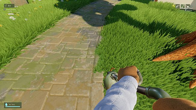 Sprayed to Rest: Bear Hollow