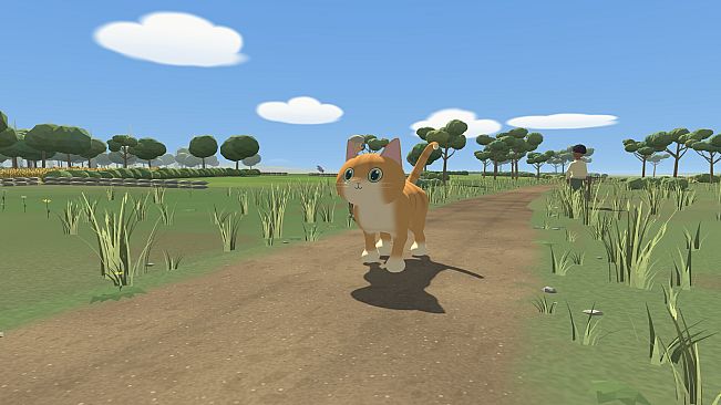 Cat's Endless Stroll