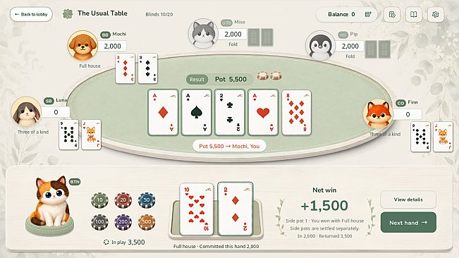 The Usual Table: Texas Hold'em
