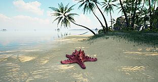 Starfish Simulator