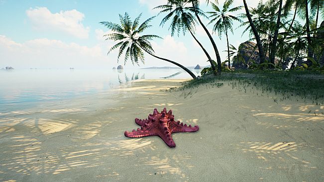 Starfish Simulator