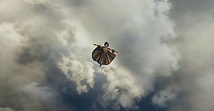 Kung Fu Time Travel