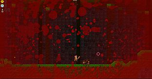 Grip on Reality - The Jaguar