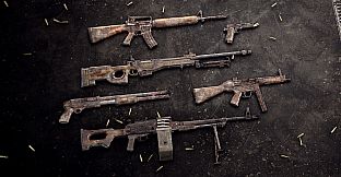 Insurgency: Sandstorm - Reclaimed Weapon Skin Set