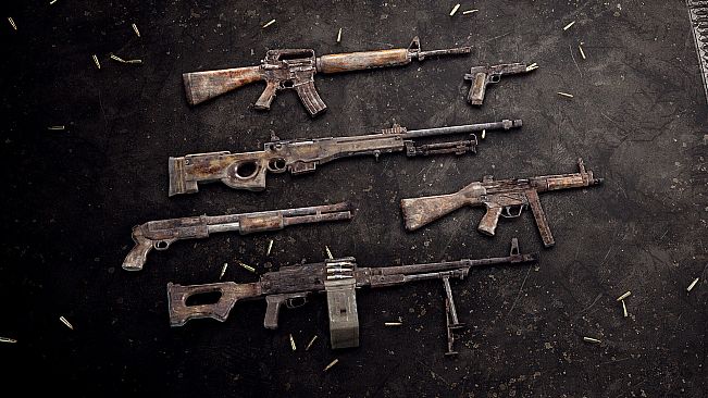 Insurgency: Sandstorm - Reclaimed Weapon Skin Set