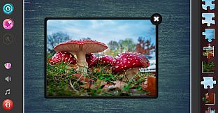 Classic Jigsaw Puzzles - Forest Jigsaw Puzzles