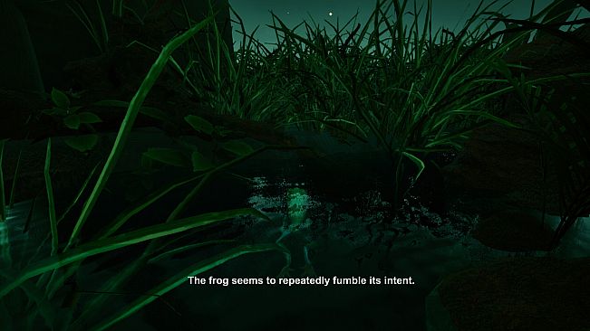 Planet Frog