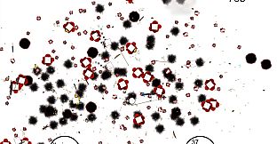 Square Massacre