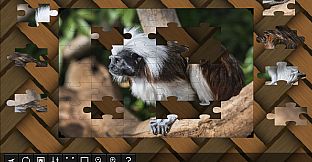 Jigsaw Puzzle World - Primates