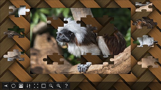 Jigsaw Puzzle World - Primates