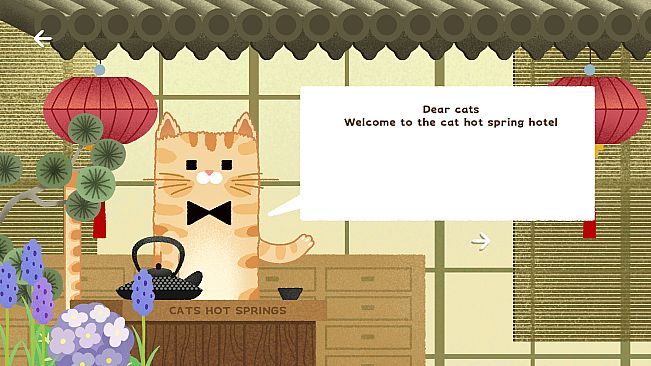 CATS BLOCKS: HOT SPRINGS