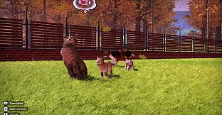 Animal Shelter 2 - Fluffy Cats Pack