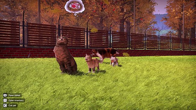 Animal Shelter 2 - Fluffy Cats Pack
